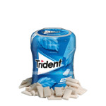 Trident Sugar Free Fresh Peppermint Flavor Gum