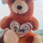 small teddy bear price in bd-small teddy bear-1 feet cute teddy