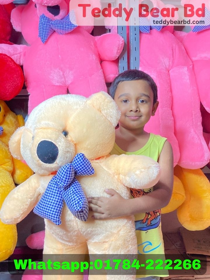 Extra large big Teddy 2.5 feet cream color   - Price in Bangladesh