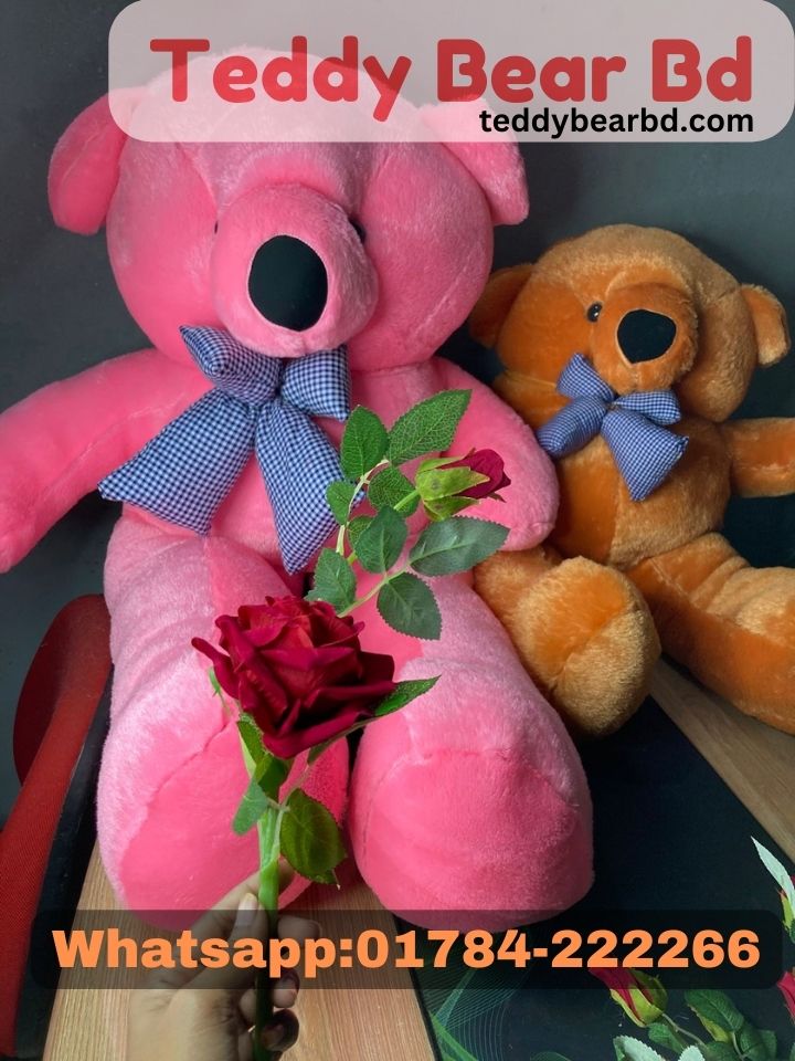 Extra large big Teddy  3.5 pink color  - Price in Bangladesh