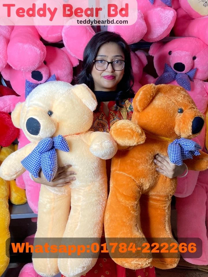 Extra large big Teddy brown color 2.5  feet dark pink - Price in Bangladesh