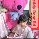 Extra large big Teddy 2.5 feet dark pink - Price in Bangladesh