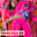 Extra large big Teddy 2.5 feet pink color  - Price in Bangladesh