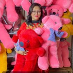Extra large big Teddy 2.5 feet pink color  - Price in Bangladesh