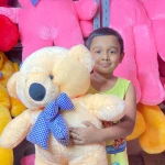 Extra large big Teddy brown color 2.5  feet dark pink - Price in Bangladesh