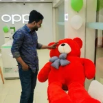 Happy Friendship Day Gift-Big Teddy Bear for Girlfriend