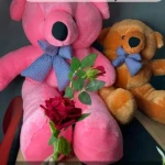 Best Valentines Day Gifts for Men Teddy-Teddy Bear Teddy Bear BD