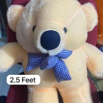 Big Teddy Bear Price in Bangladesh With Birthday Gift for Husband